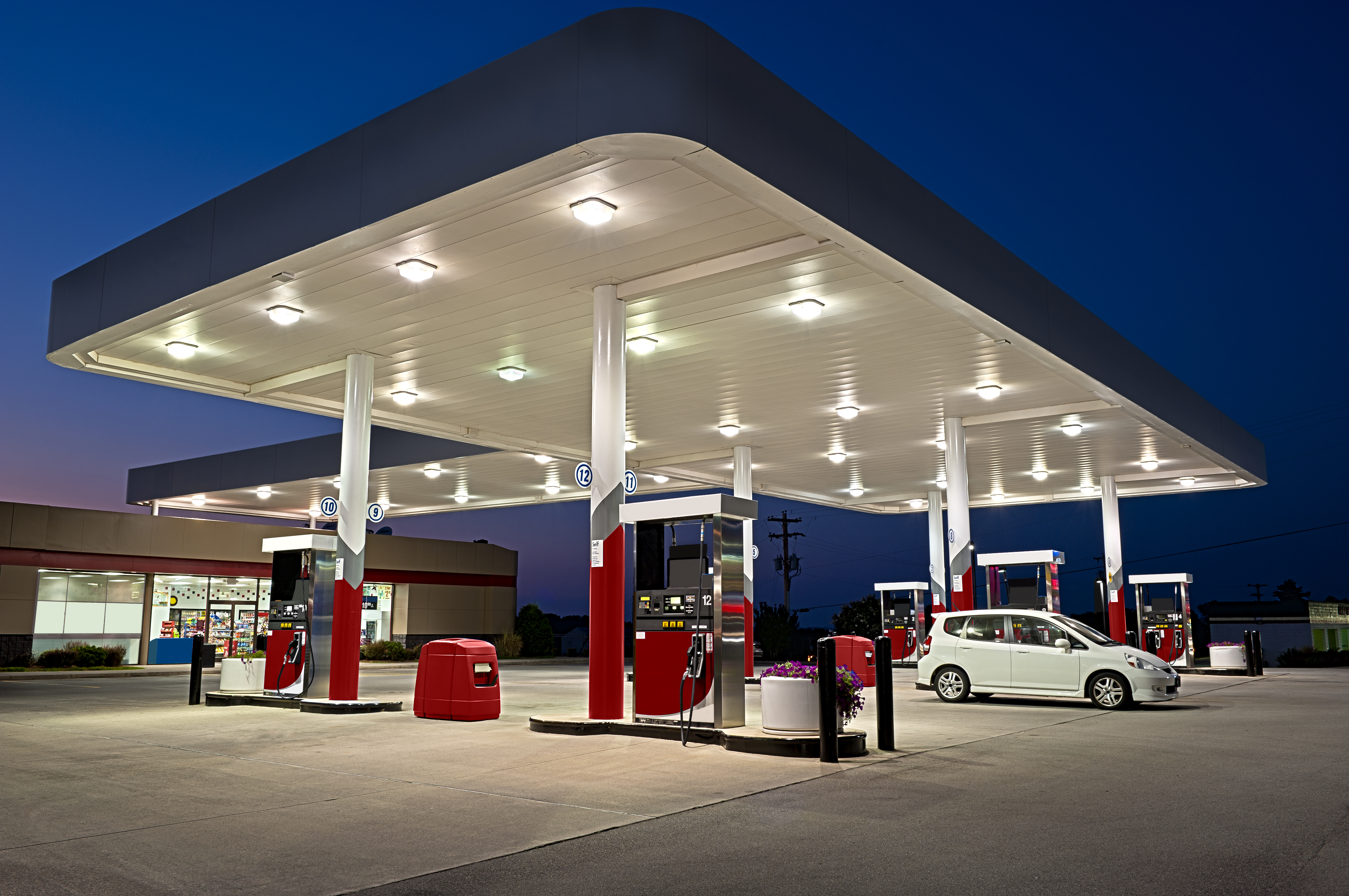 Customized Merchandising<br>Services & Solutions