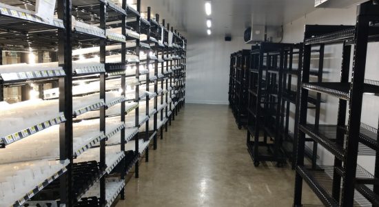 LOVES NEW STORE SETUP-min